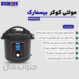 مولتی کوکر حرفه ای 6 لیتری بیسمارک مدل BMP830