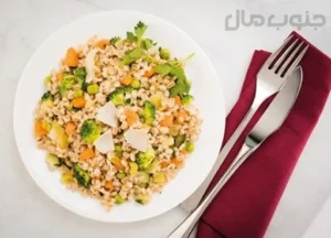 پلوپزRk242تفال