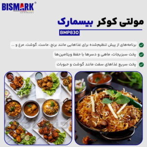 مولتی کوکر حرفه ای 6 لیتری بیسمارک مدل BMP830